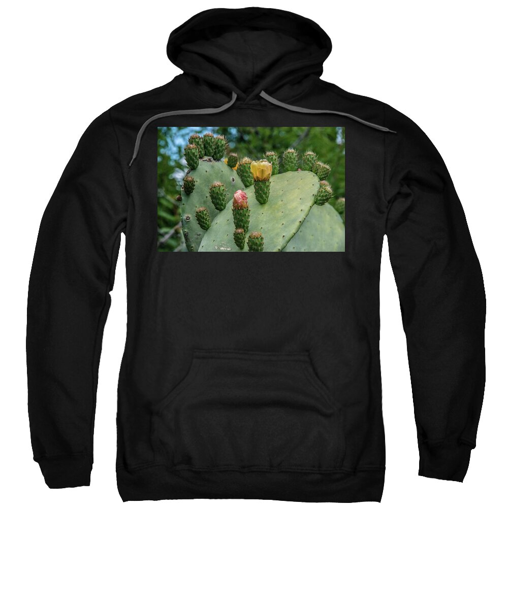  Sweatshirt featuring the photograph Opuntia Cactus by Patrick Boening