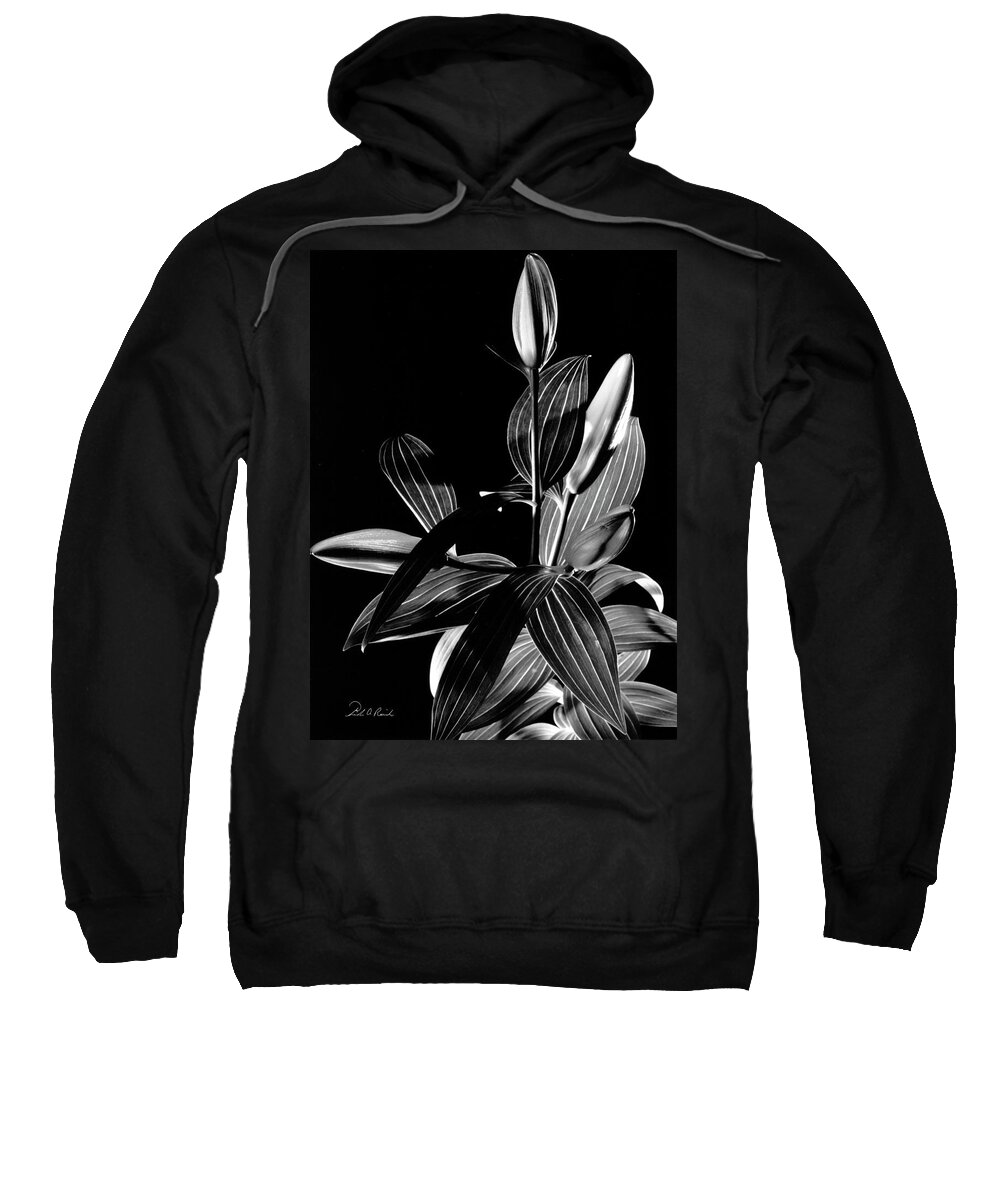 Black And White Sweatshirt featuring the photograph Oriental Lily One by Frederic A Reinecke