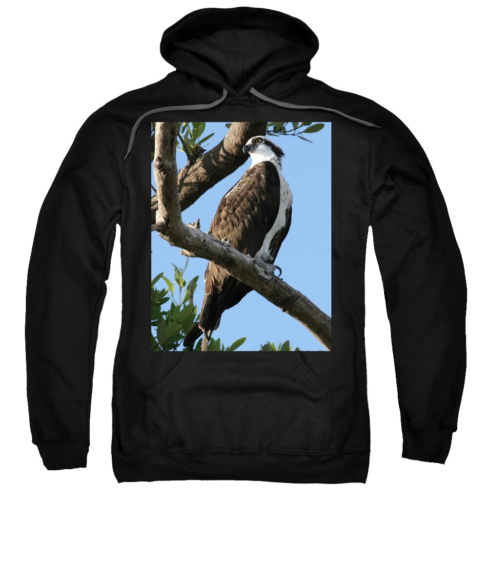 Osprey Sweatshirt featuring the photograph Osprey - perched by Jerry Battle
