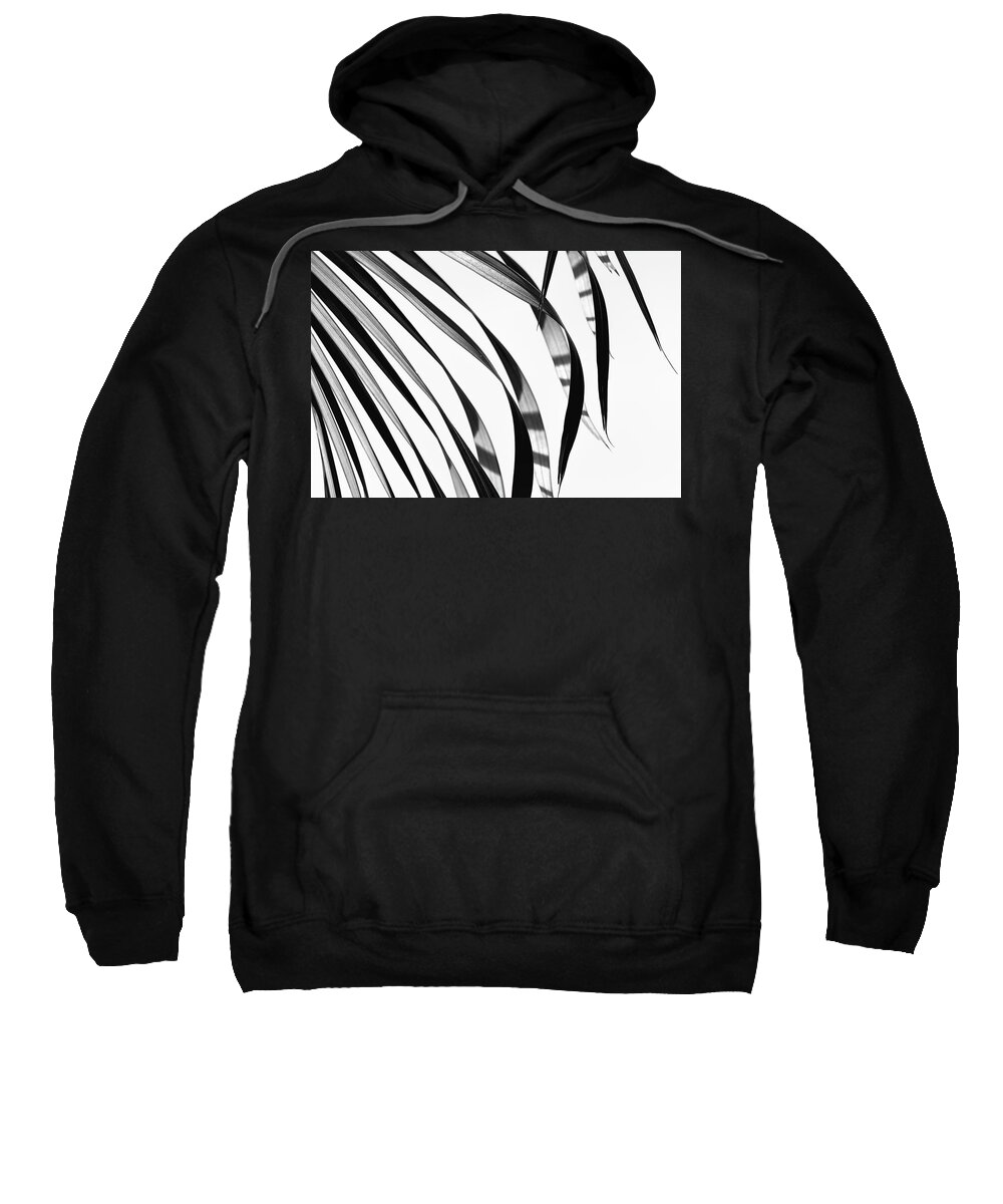 Chris Johnson Sweatshirt featuring the photograph Palm Leaf Pattern by Christopher Johnson