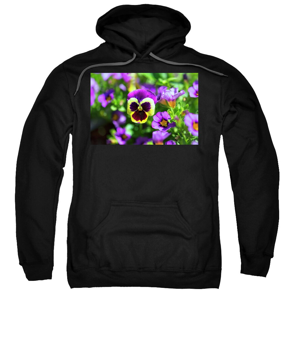 Pansy Sweatshirt featuring the photograph Pansy Face by Nancy Dunivin