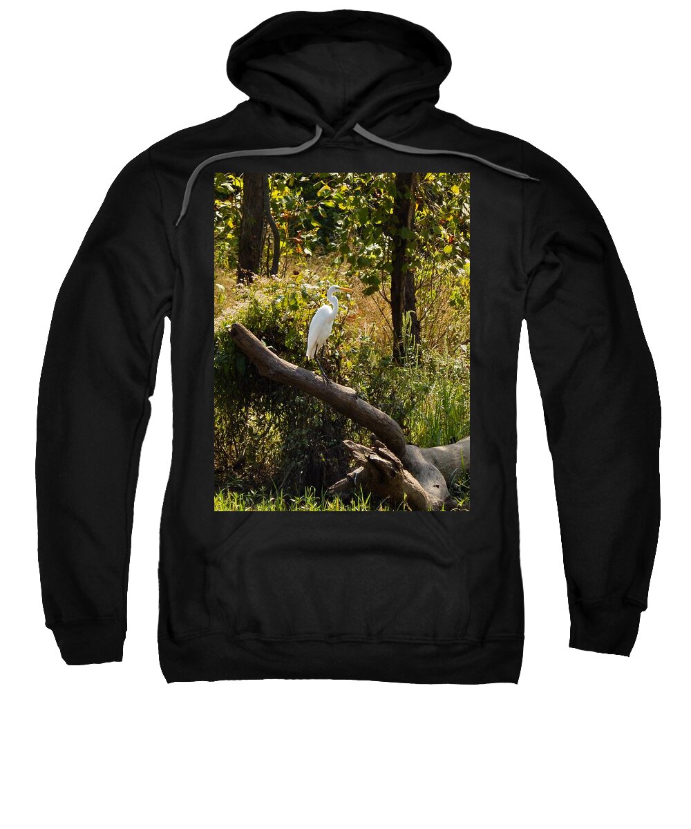Fienart Sweatshirt featuring the photograph Perched Snowy Egret by Chris Tarpening