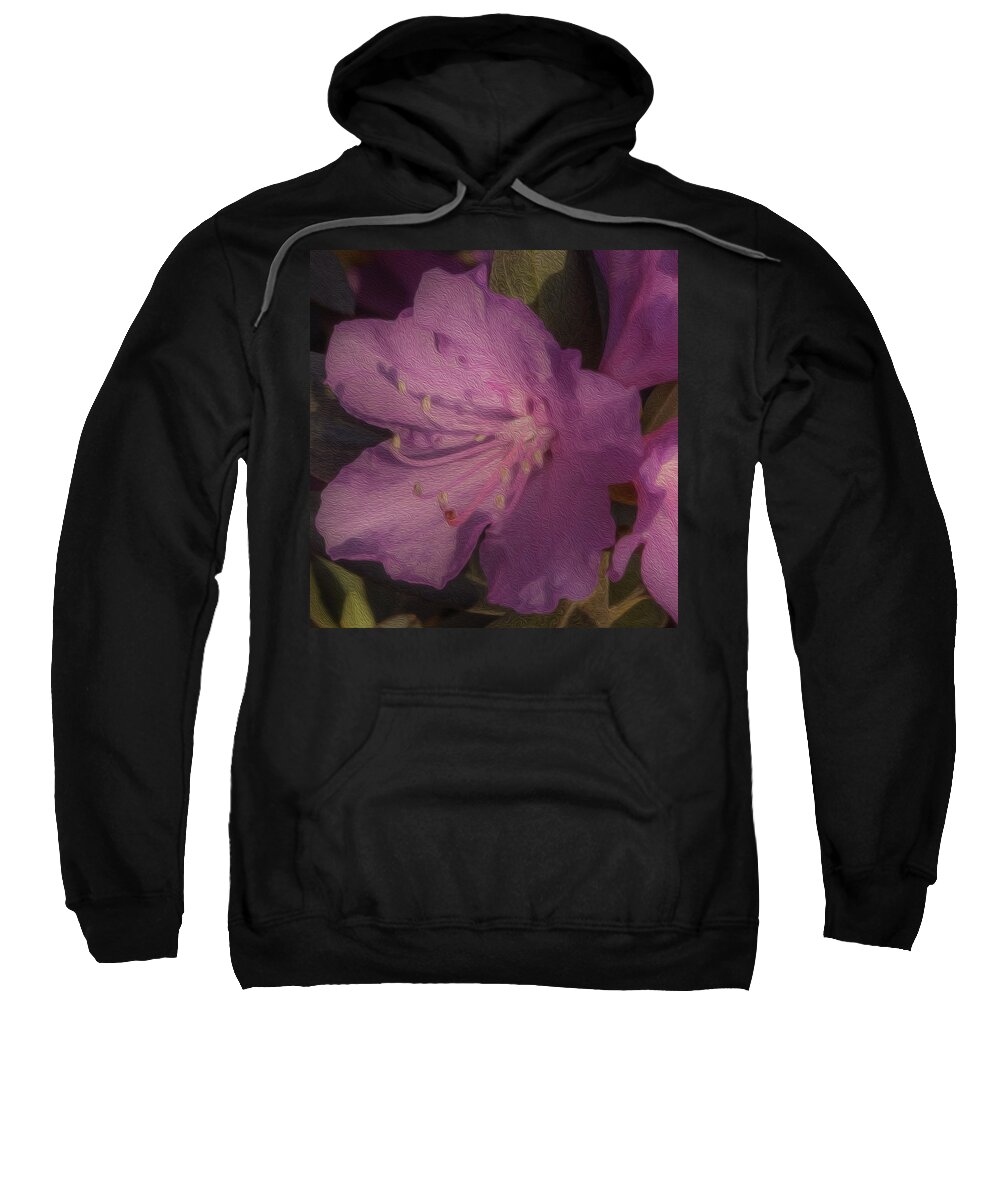 Petal Sweatshirt featuring the photograph Photo Painting in Pink by Roberta Kayne