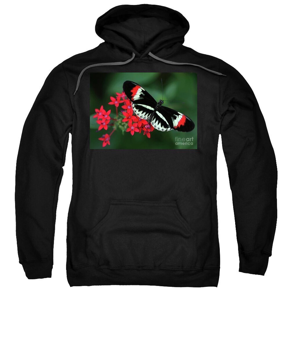 Butterfly Sweatshirt featuring the photograph Piano Key Butterfly by Sabrina L Ryan