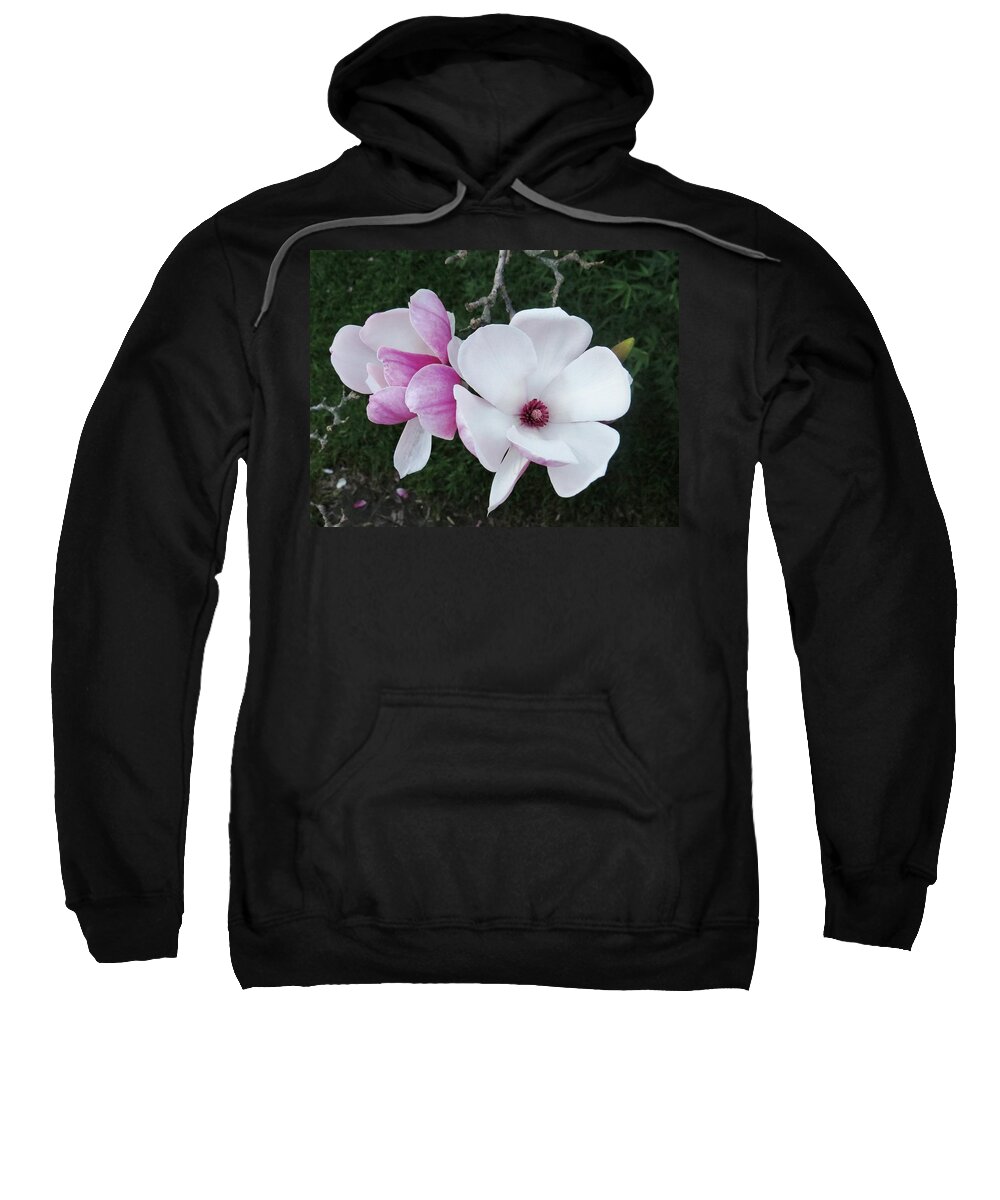 Beautiful Sweatshirt featuring the photograph Pink And White Delight Taken Pymble by Amanda S Leek