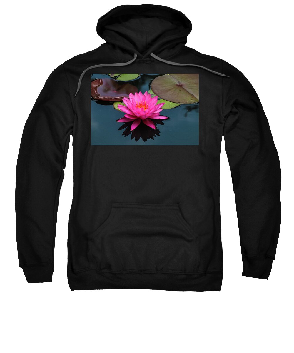Flower Sweatshirt featuring the photograph Pink Beauty by Tom and Pat Cory