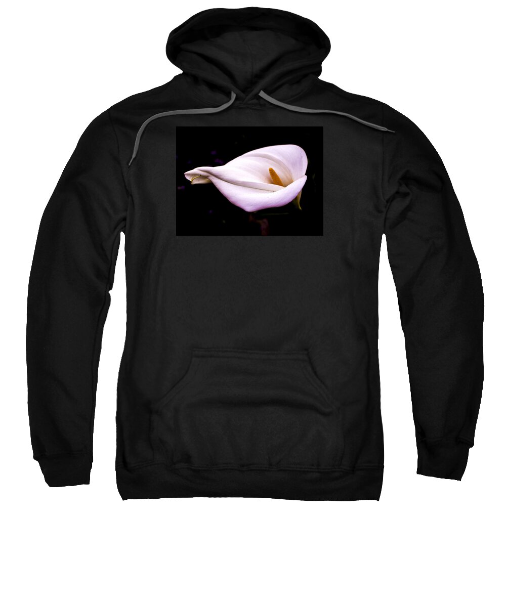 Calla Sweatshirt featuring the photograph Pink Calla Lily by Venetia Featherstone-Witty