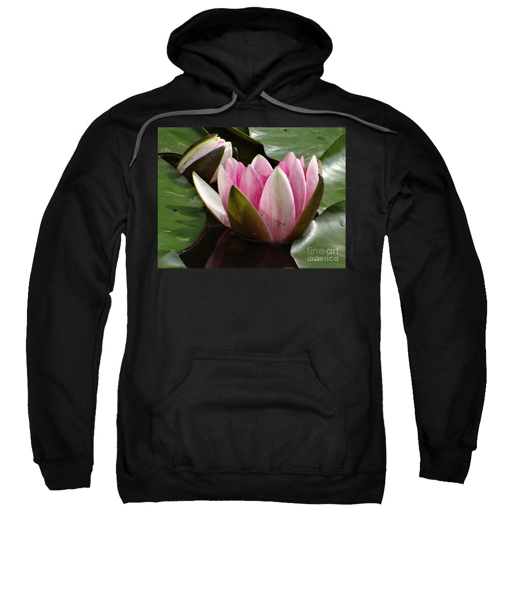 Flower Sweatshirt featuring the photograph Pink Harmony by Karin Ravasio