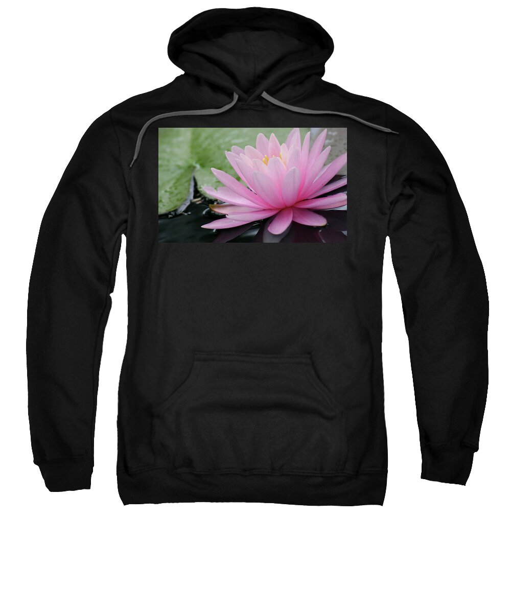 Flower Sweatshirt featuring the photograph Pink Water Lily by Mary Anne Delgado