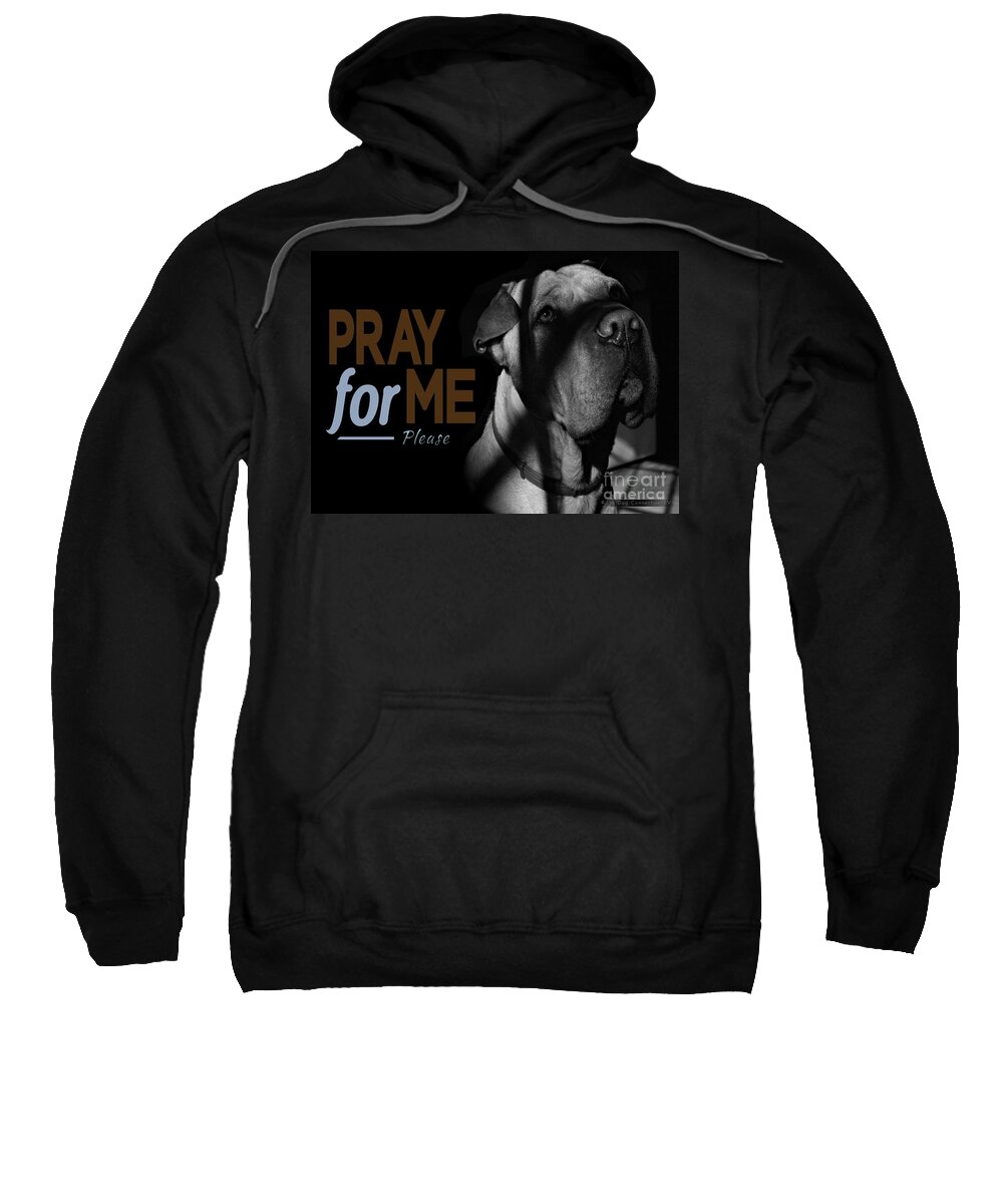 Petograph Sweatshirt featuring the digital art Please Pray For Me by Kathy Tarochione