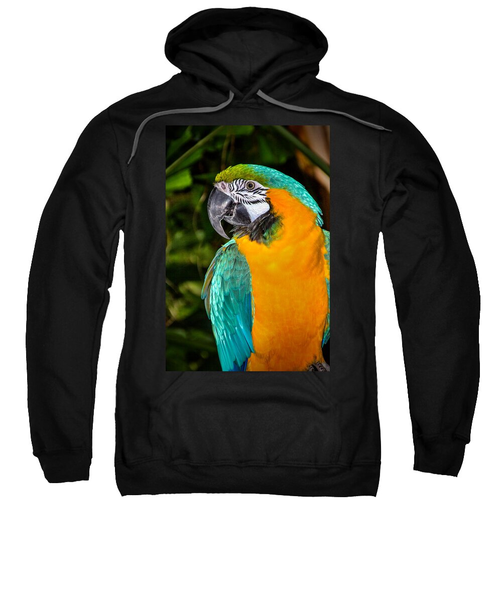 Art Prints Sweatshirt featuring the photograph Polly II by Dave Bosse