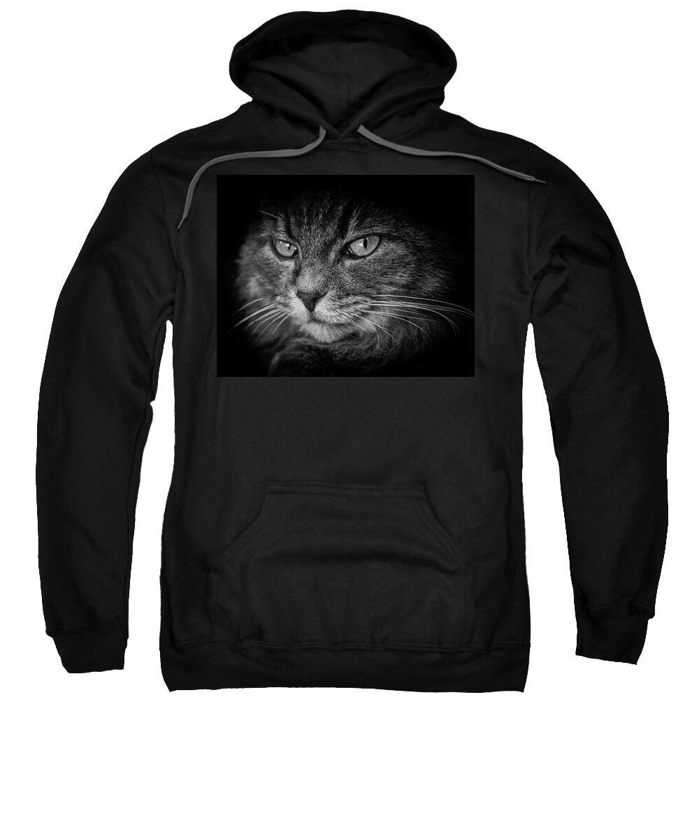 Cat Sweatshirt featuring the photograph Predator by Alessandro Della Pietra