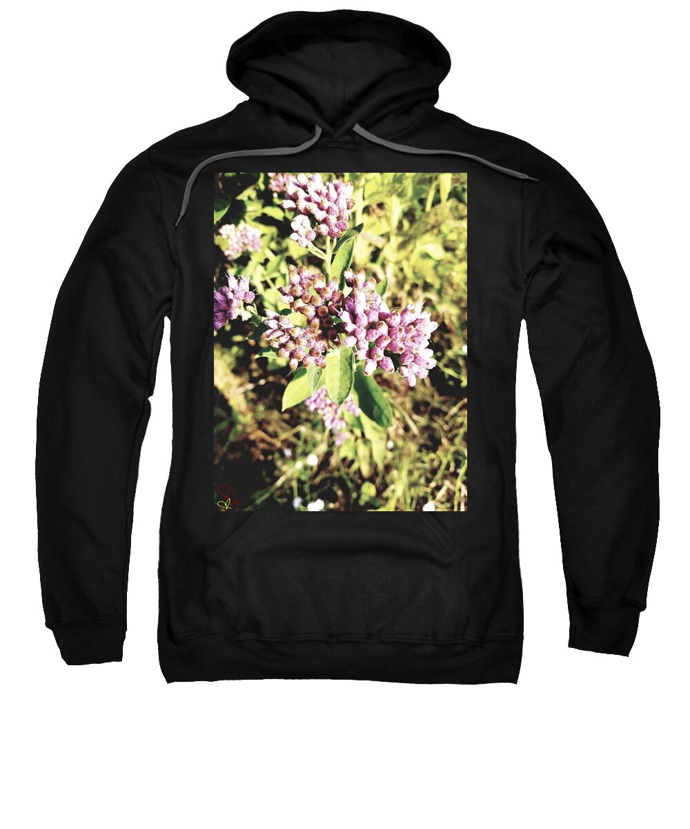 Pink Sweatshirt featuring the photograph Pretty in pink by Samantha Womack