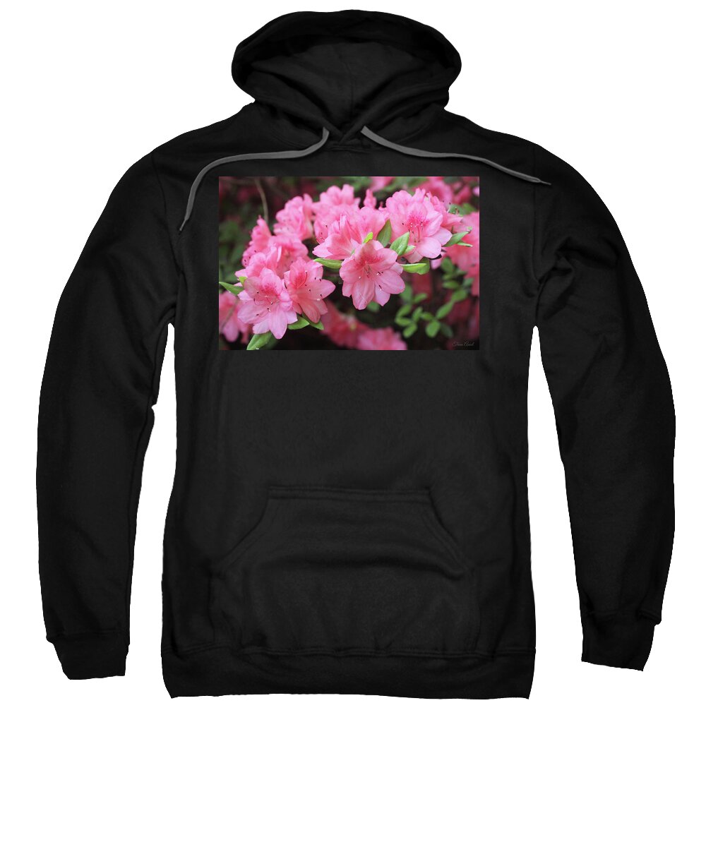 Flowers Sweatshirt featuring the photograph Pretty Pink Azalea Blossoms by Trina Ansel