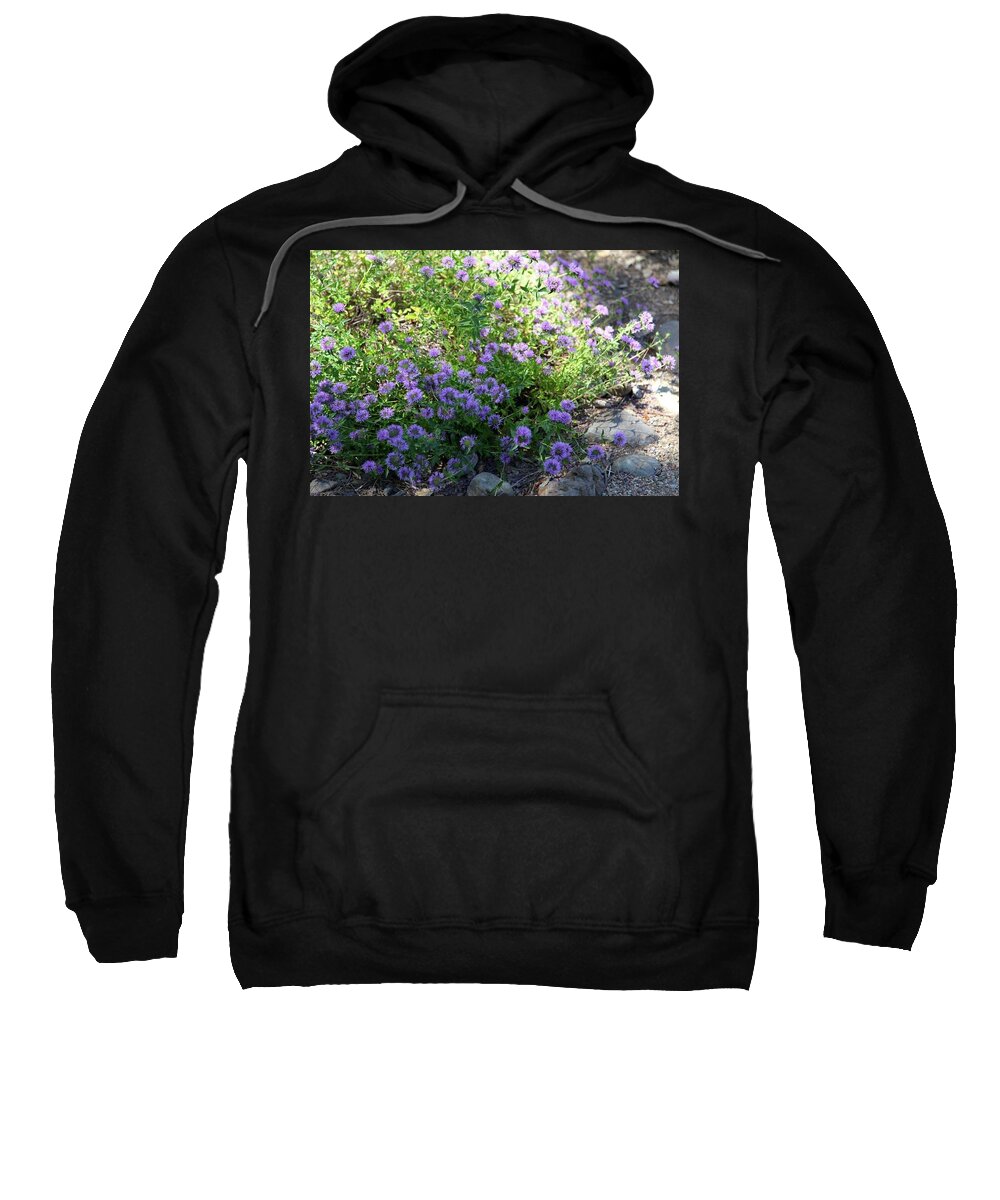 Plants Sweatshirt featuring the photograph Purple Bachelor Button Flower by Portraits By NC