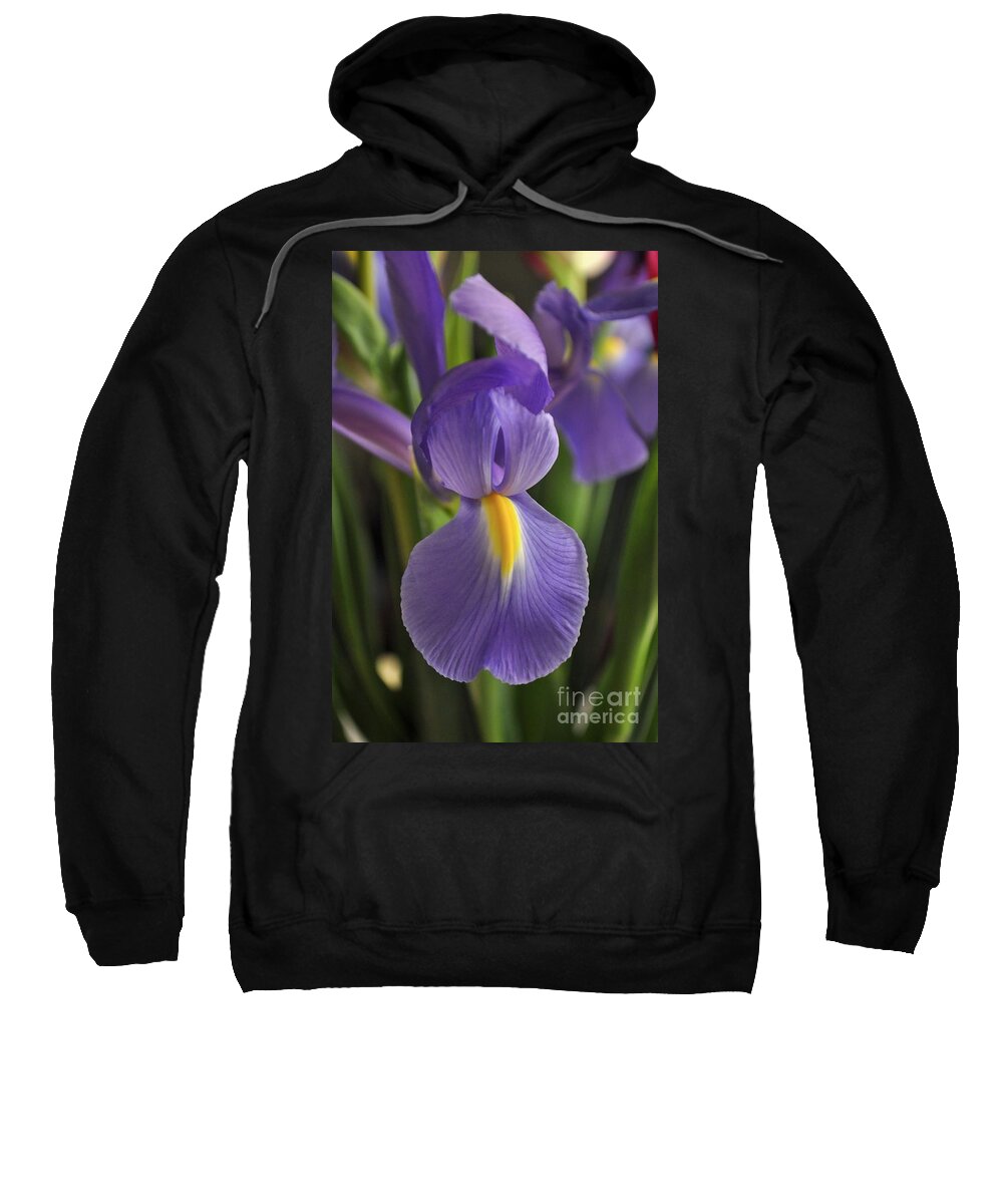 Iris Sweatshirt featuring the photograph Purple Iris by Bridgette Gomes