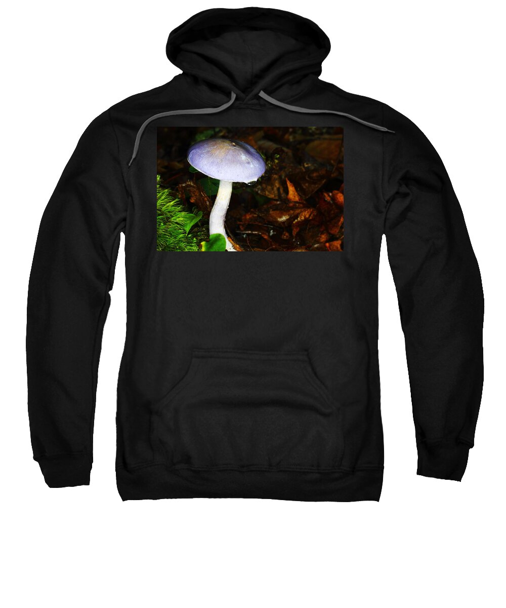 Russula Cyanoxantha Sweatshirt featuring the photograph Purple Mushroom Russula Cyanoxantha by Andrew Pacheco
