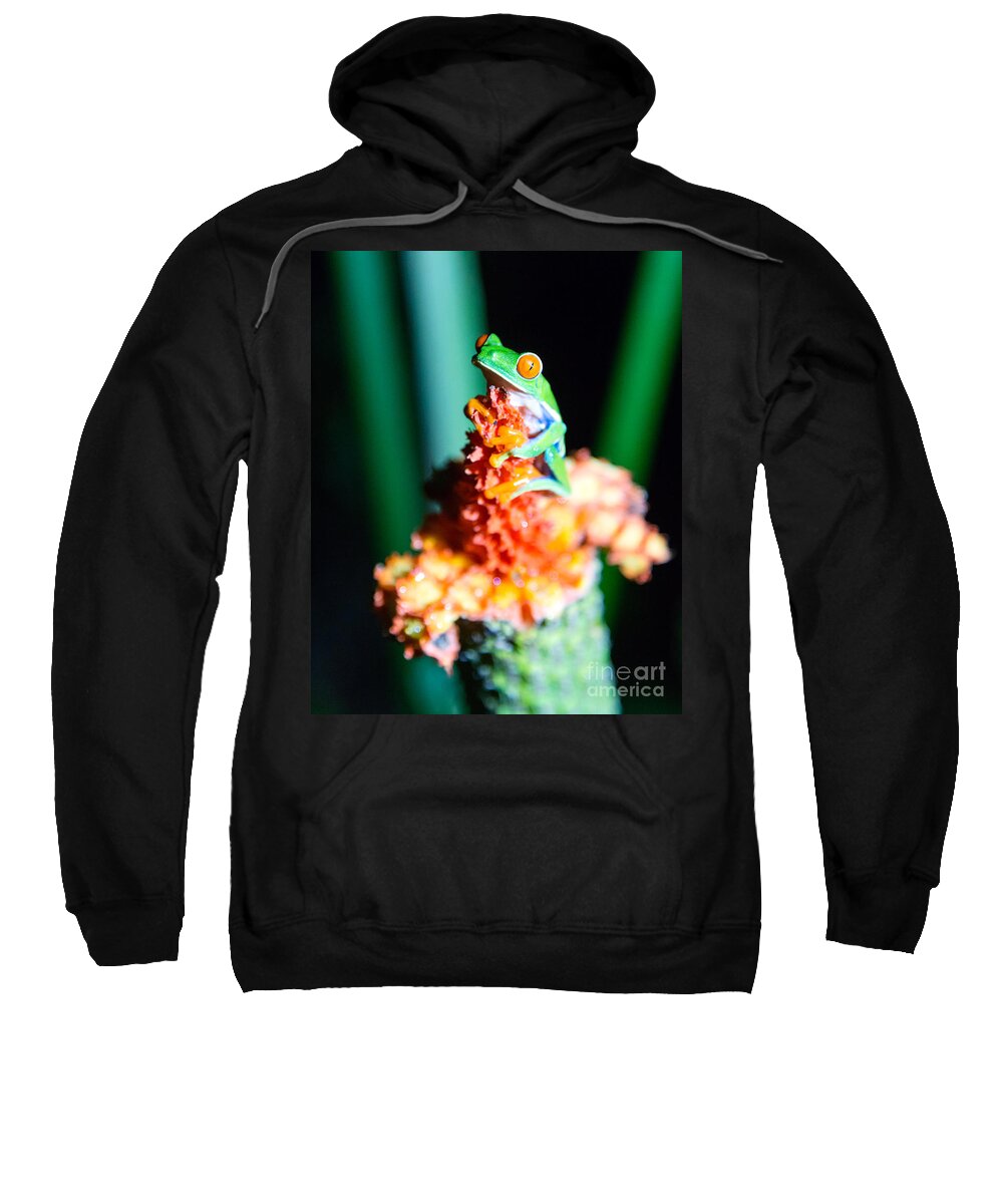Red Eyed Frog Sweatshirt featuring the photograph Red-eyed frog macro - Costa Rica by Matteo Colombo