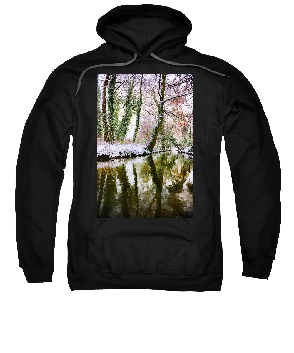 Branch Sweatshirt featuring the photograph Reflected winter by Gouzel -