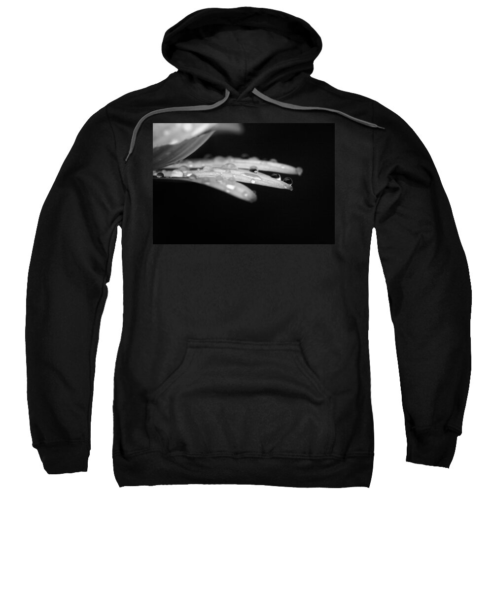 Daisy Sweatshirt featuring the photograph Resting on the Edge - Black and White by Angela Rath