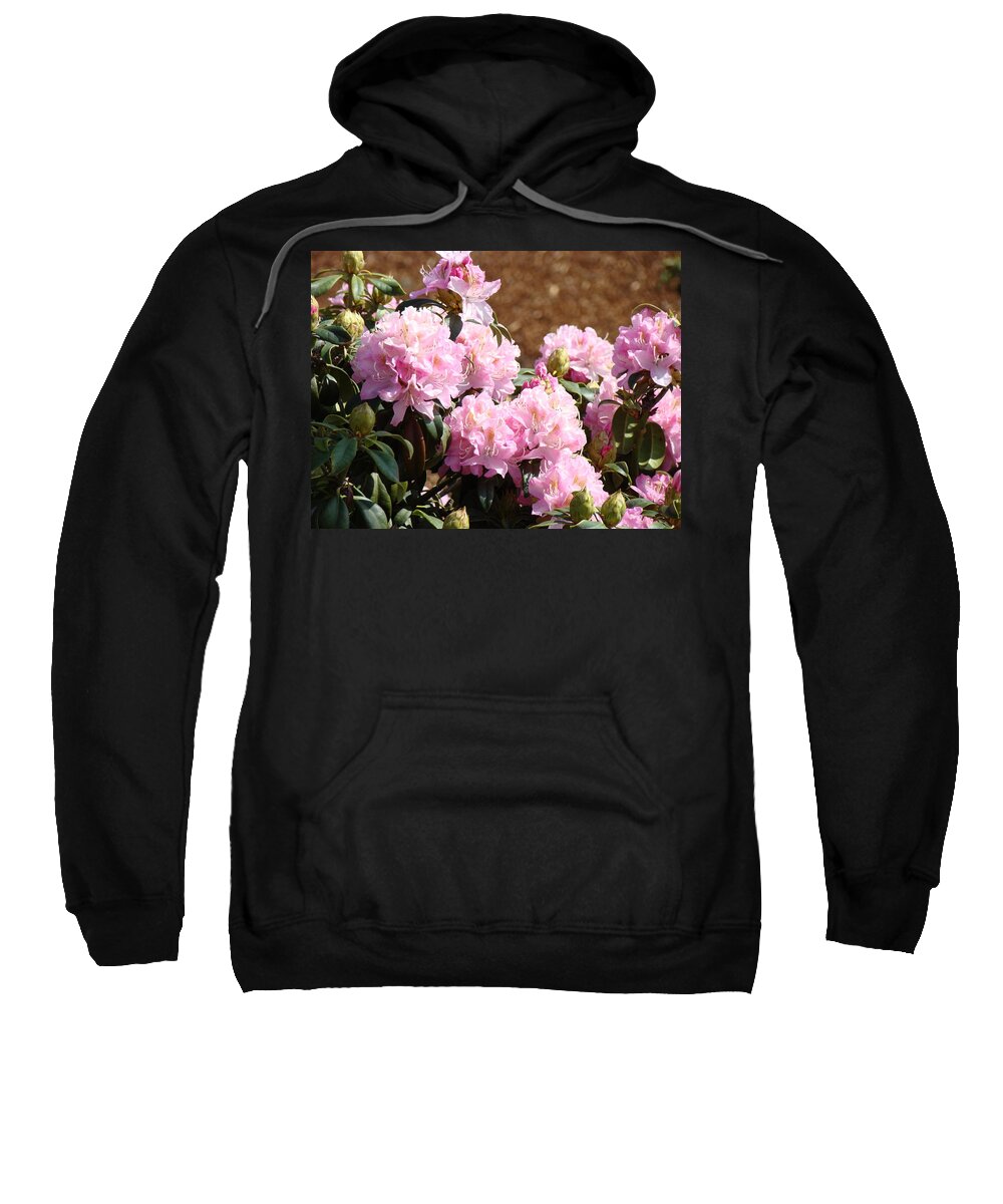 Rhodies Sweatshirt featuring the photograph Rhododendron Garden art print Pink Rhodies Flowers Baslee Troutman by Patti Baslee