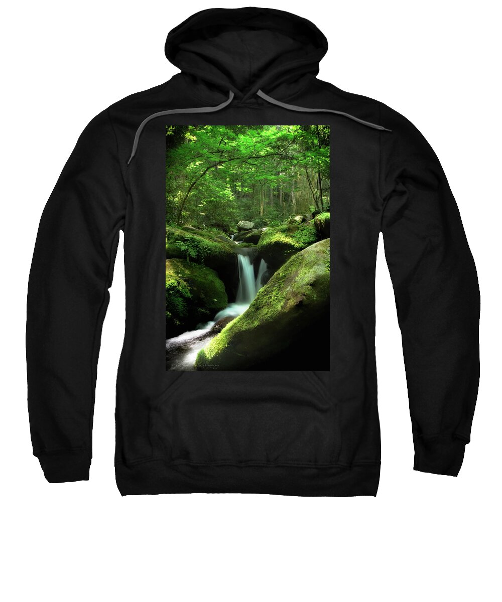 Lush Sweatshirt featuring the photograph Roaring Fork by C Renee Martin