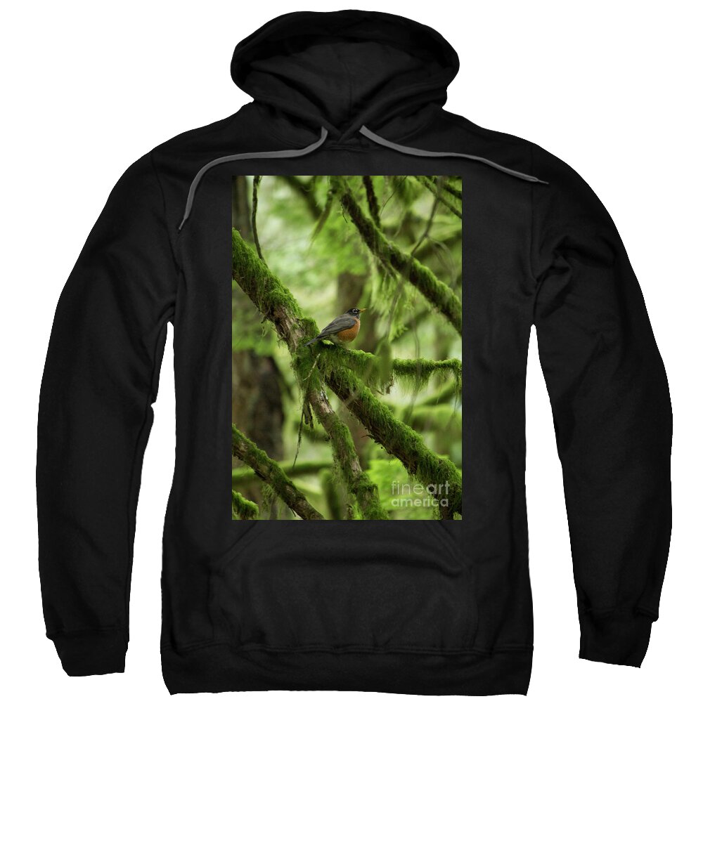 Robin Sweatshirt featuring the photograph Robin on a Branch by Donna L Munro