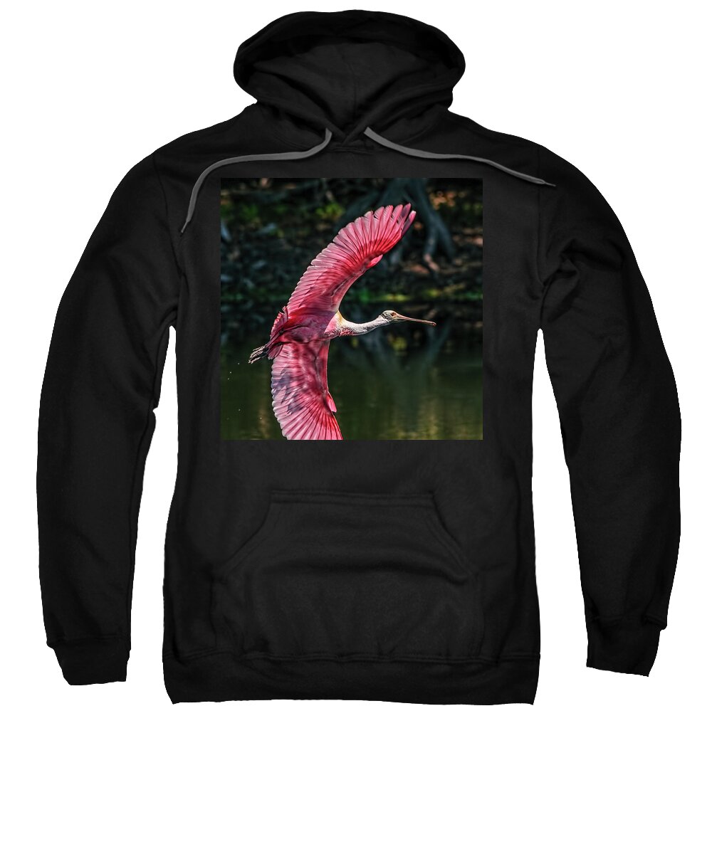 Roseate Spoonbill Sweatshirt featuring the photograph Roseate Spoonbill by Steven Sparks