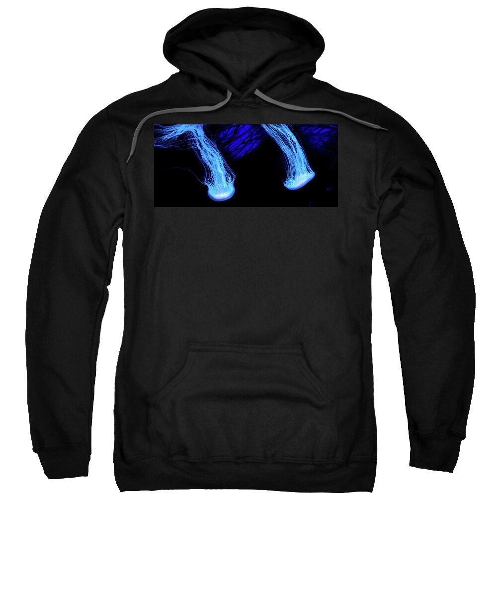 Jellyfish Sweatshirt featuring the photograph Shimmering Wonders by Mark Andrew Thomas