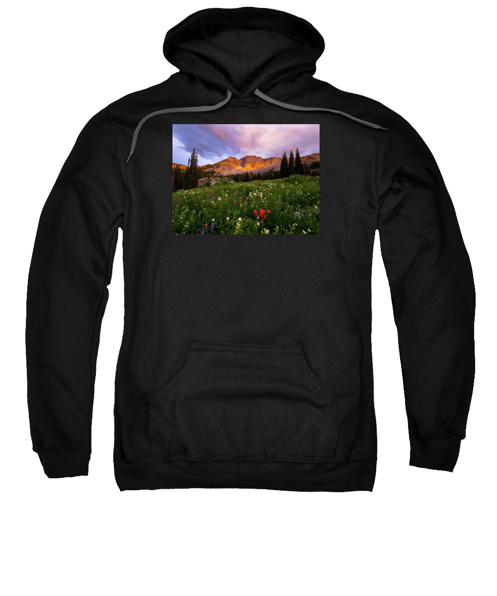 Albion Basin Sweatshirt featuring the photograph Silent Stirrings by Emily Dickey