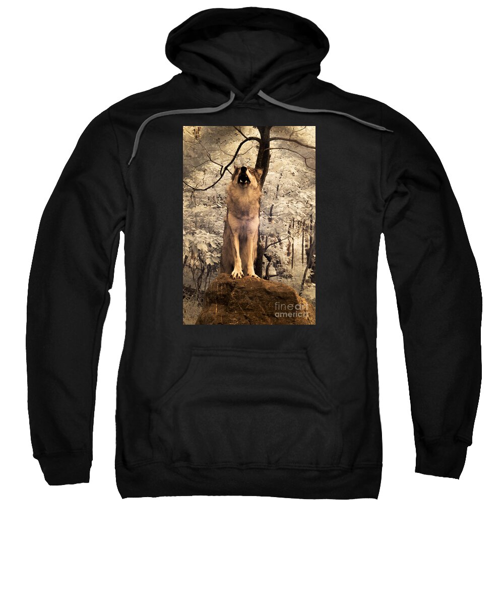Singing A Soulful Tune Sweatshirt featuring the digital art Singing a Soulful Tune by William Fields