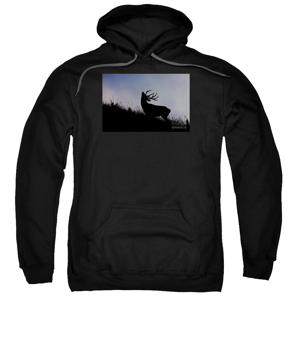 Buck Sweatshirt featuring the photograph Skyline Monarch by Douglas Kikendall
