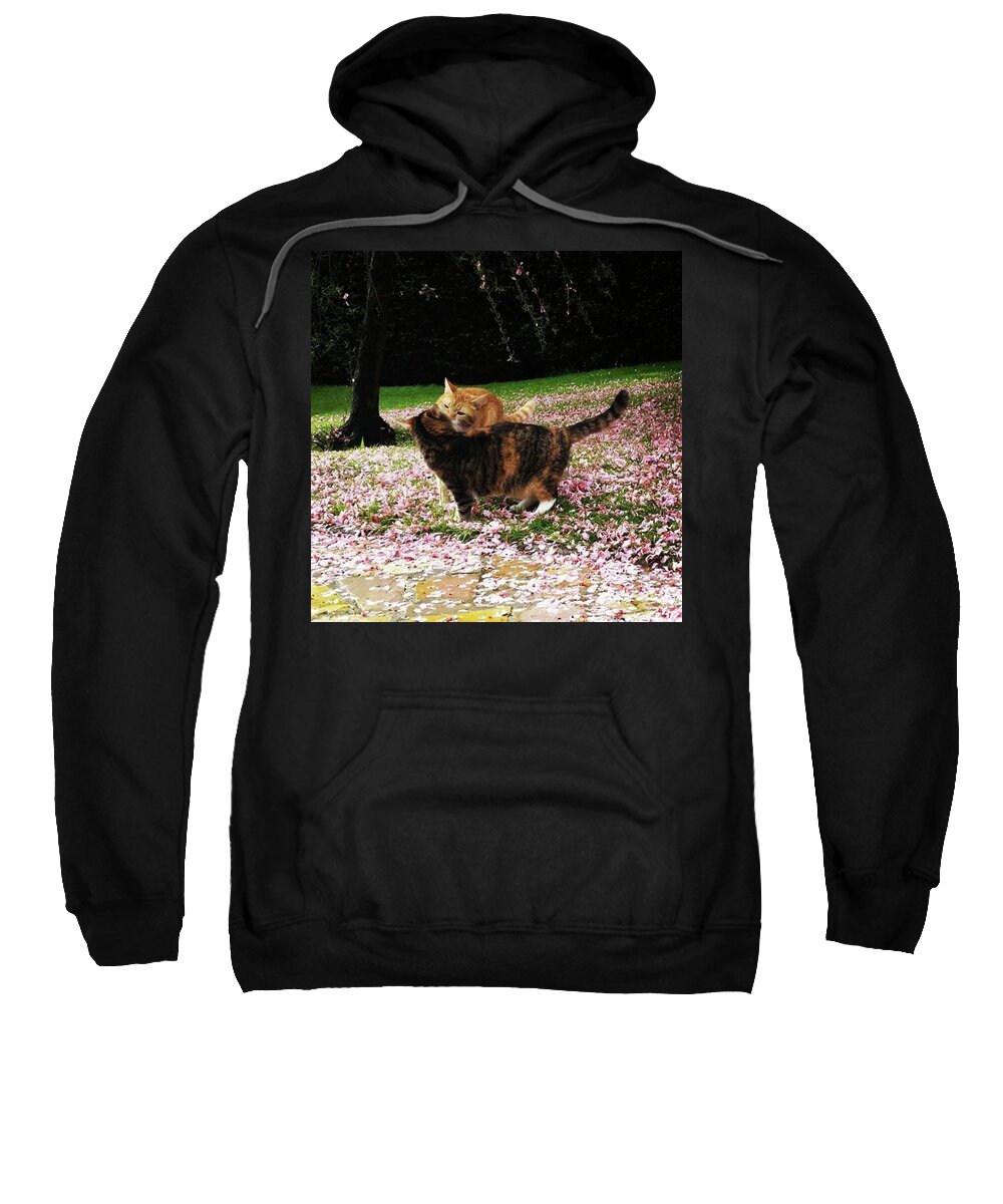 Cat Sweatshirt featuring the photograph Cherry Blossom Kiss by Rowena Tutty