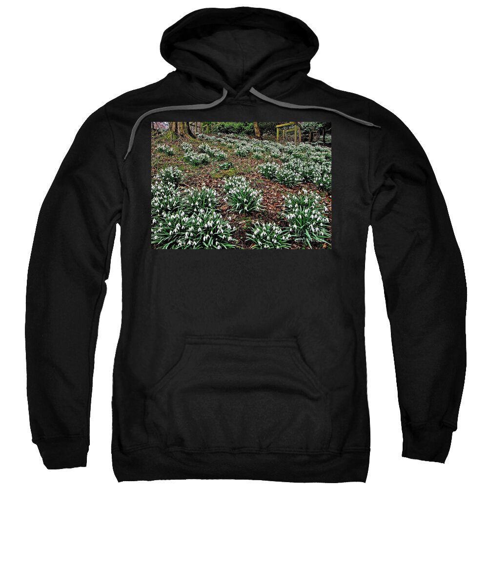 Snowdrop Sweatshirt featuring the photograph Snowdrops In Spring Woodland by Martyn Arnold