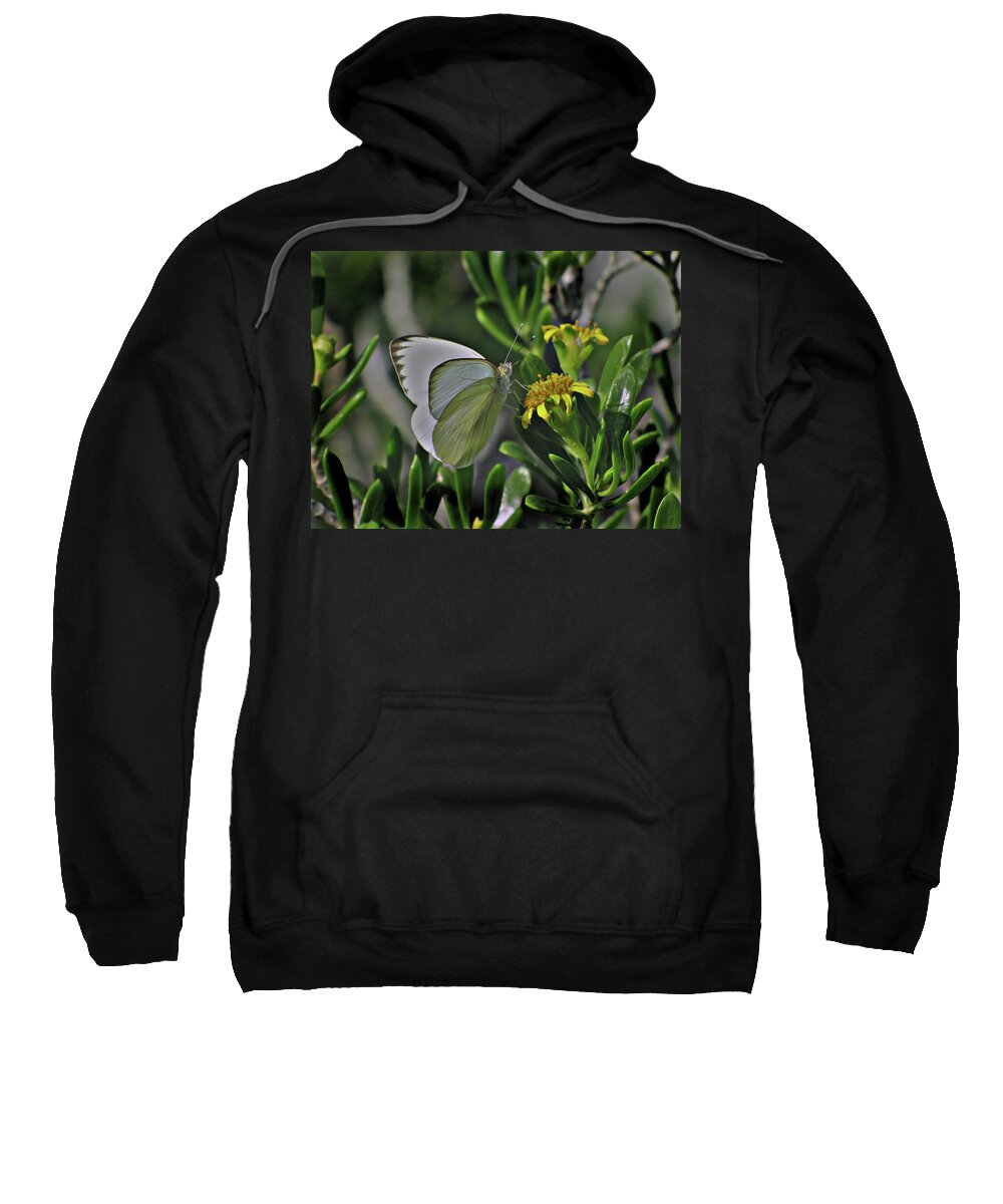 Butterfly Sweatshirt featuring the digital art Soft as a Leaf by David Bader