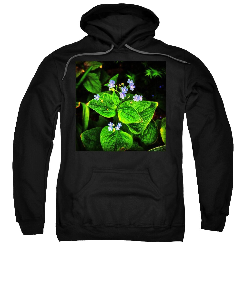 Flowers Sweatshirt featuring the photograph Sometimes the Most Brilliant Are So Tiny by Nick Heap