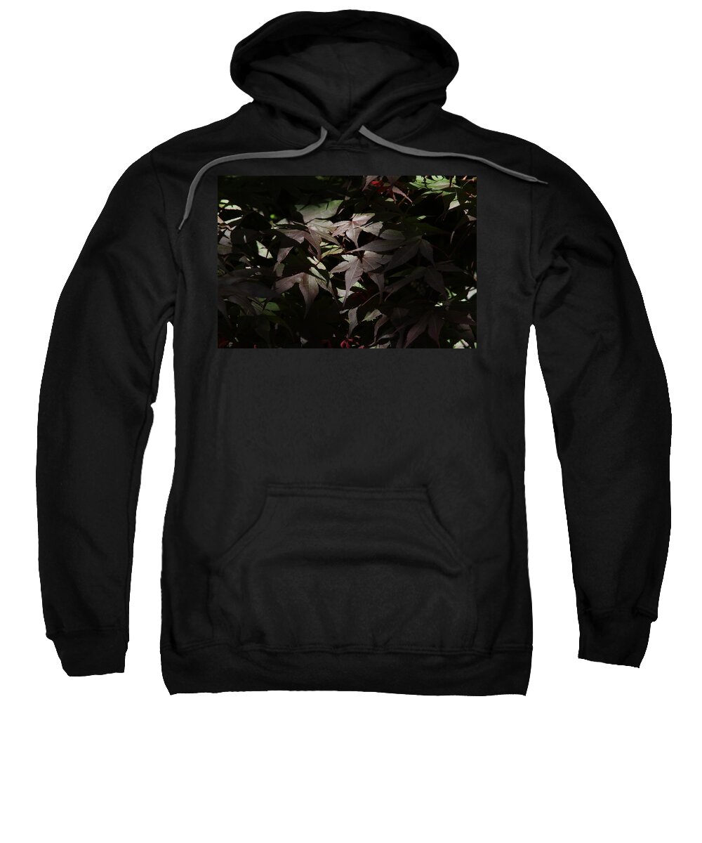 Japanese Maple Sweatshirt featuring the photograph Spotlight by Lyle Hatch