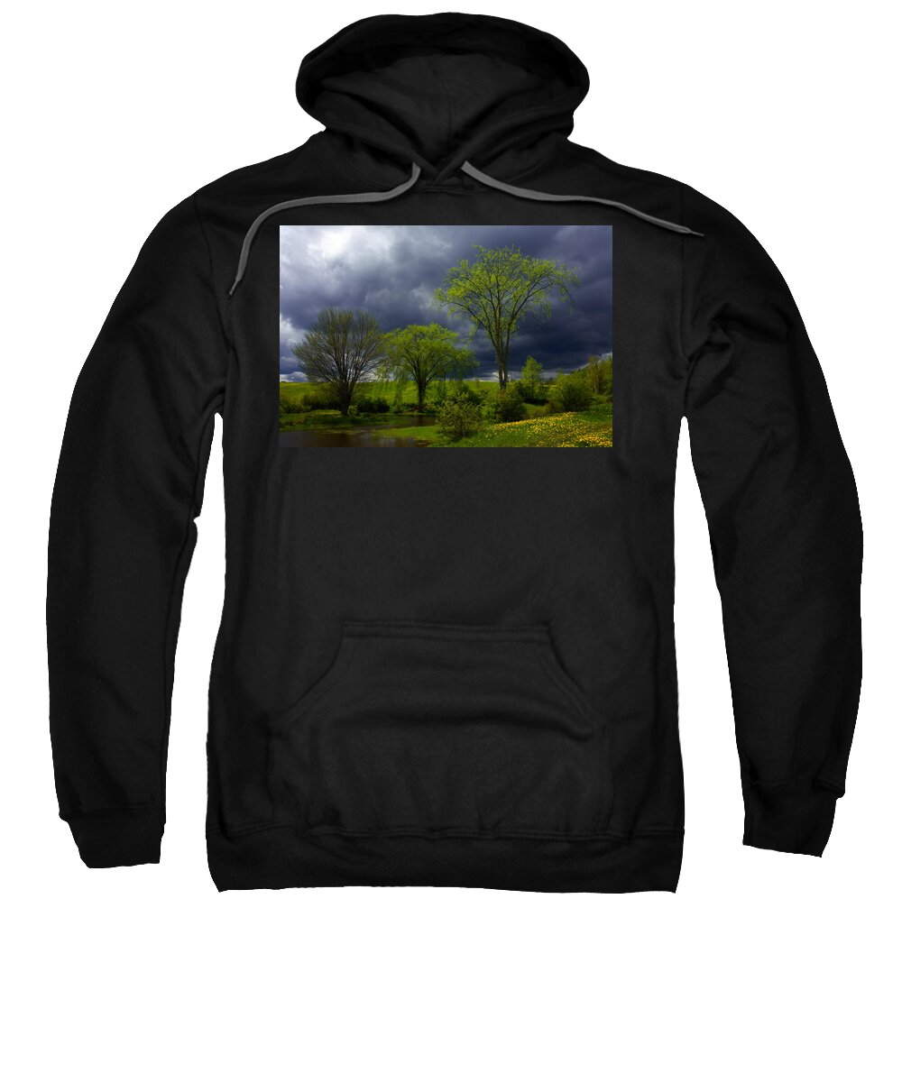 Spring Sweatshirt featuring the photograph Spring Meadow Storm Light by Irwin Barrett