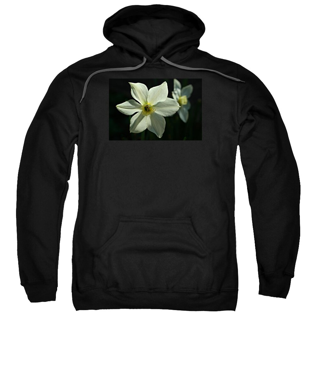 Macro Sweatshirt featuring the photograph Spring Perennial by Barbara S Nickerson