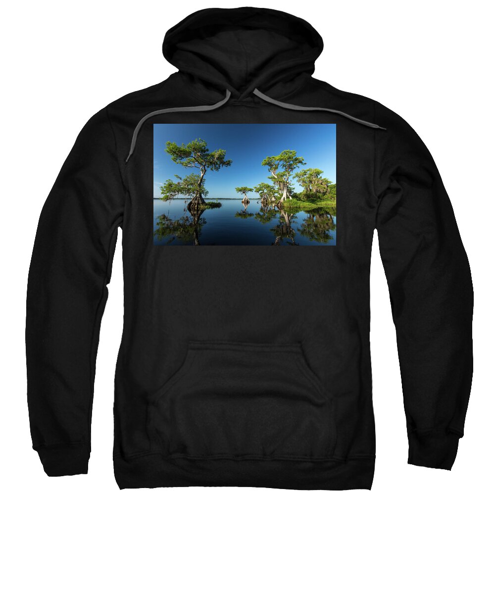 Florida Sweatshirt featuring the photograph Spring vistas at Lake Disston by Stefan Mazzola