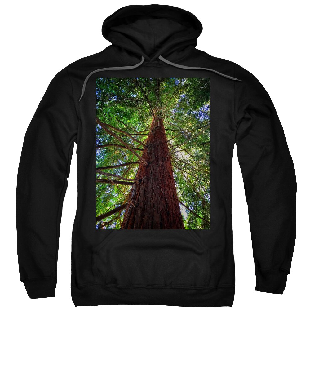 Tree Sweatshirt featuring the photograph Stand Tall by Robin Mayoff