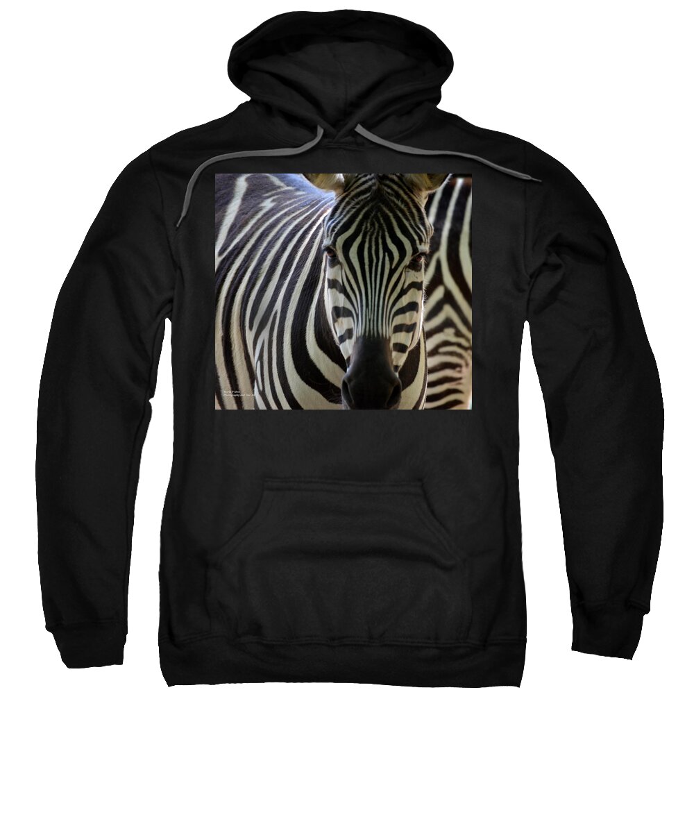 Zebra Sweatshirt featuring the photograph Stripes by Maria Urso