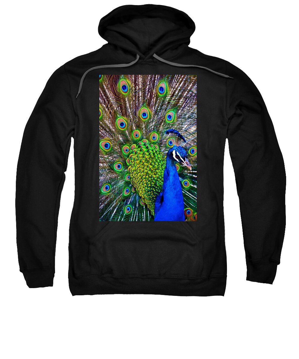 Zoo Sweatshirt featuring the photograph Strut by Angelina Tamez