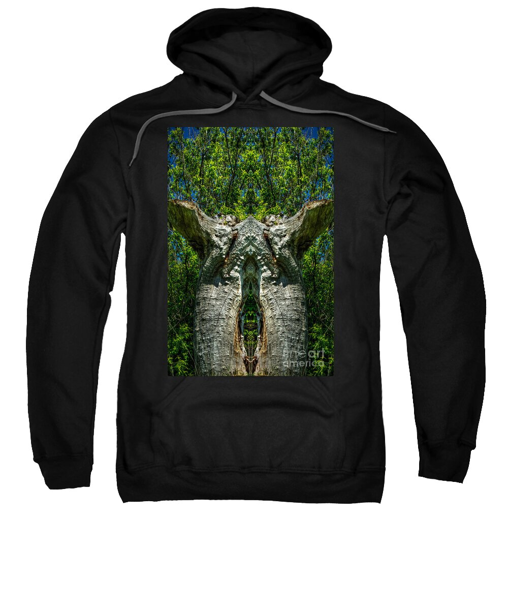 Abstract Sweatshirt featuring the photograph Stumped by Roger Monahan