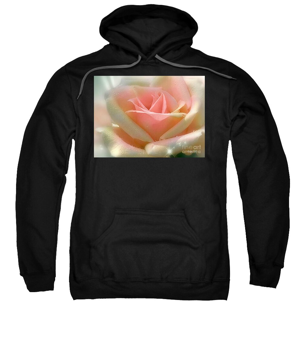 A Beautiful Pale Pink Rose With Cream Tips In The Sunlight. Sweatshirt featuring the pyrography Sun Blush by Morag Bates