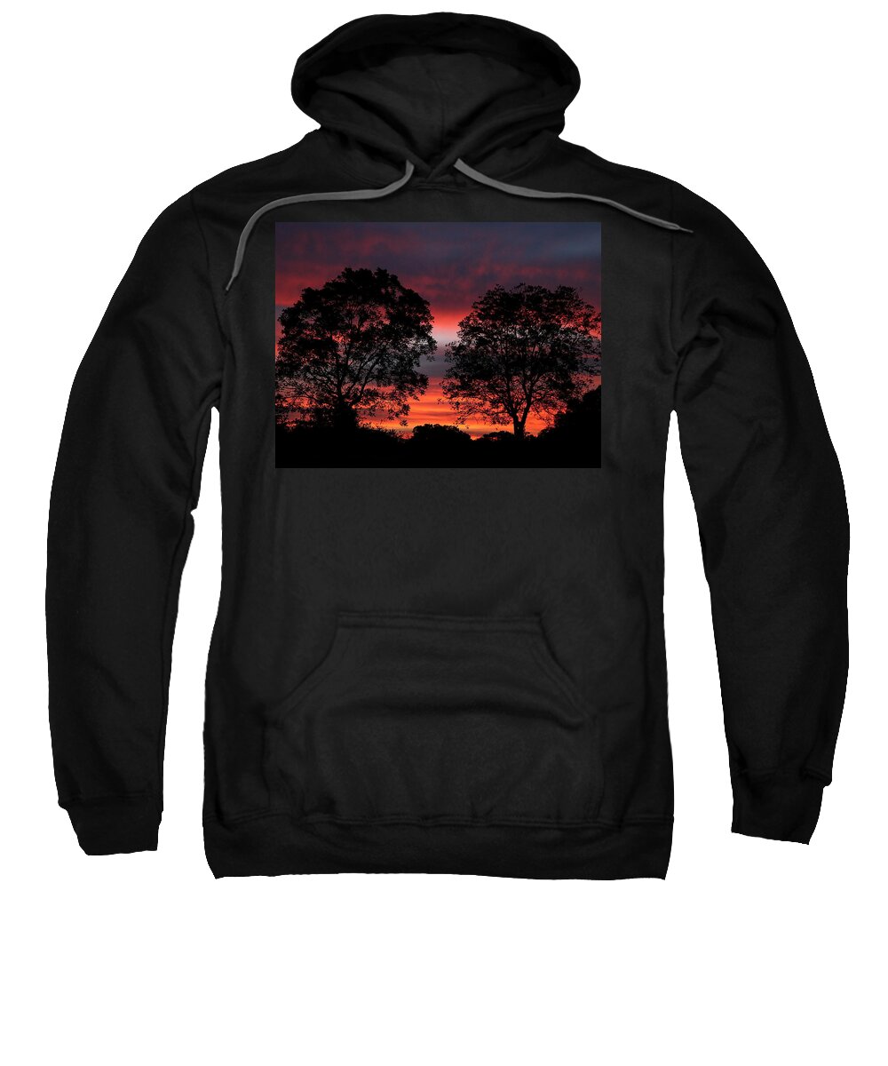 Striped Sweatshirt featuring the photograph Sunset Behind Two Trees by Sheila Brown