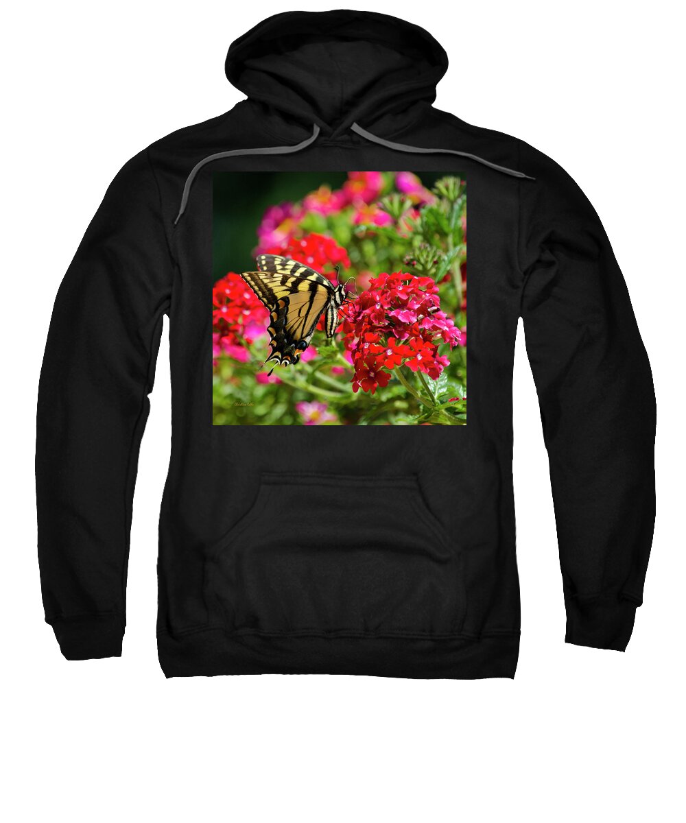 Swallowtail Butterfly Sweatshirt featuring the photograph Swallowtail Butterfly on Flower by Christina Rollo
