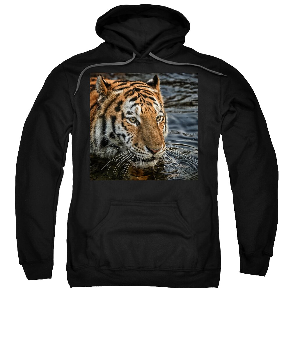 Tiger Sweatshirt featuring the photograph Swimming Tiger by Chris Boulton