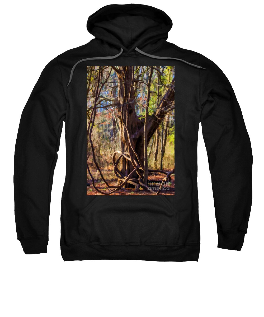 Tangled Sweatshirt featuring the photograph Tangled Vines on Tree by Roberta Byram