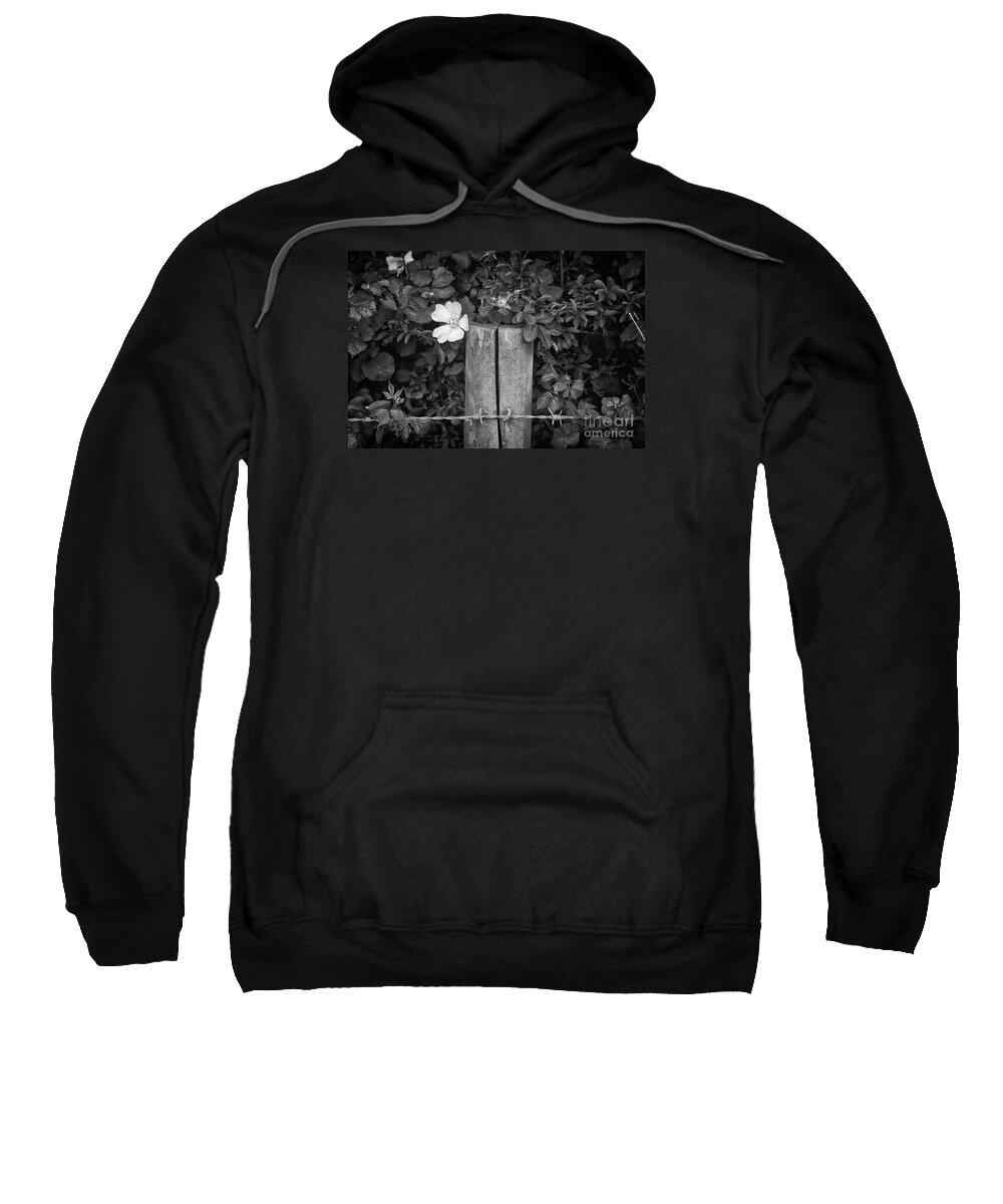 Flower Sweatshirt featuring the photograph The Allotment Project - Dog Rose by Clayton Bastiani